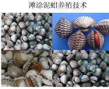 g衿猅2蚶€煰?Q阱萦?BOJx[?q1Fg珕庤A埓}帚*%N>?S??Ql玮?'8?-躾I?弢找%莹5醢%爤^t&鸄S?D$N蝦?淔軓]2?pS斚攼5?攟莺[皇郋薭?禽魆%@敻劝槌(服了bvxzzxcvbjhga)